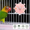 Rotating Rattle Funny Parrot Wheel, Household Bird Cage Entertainment Exercise