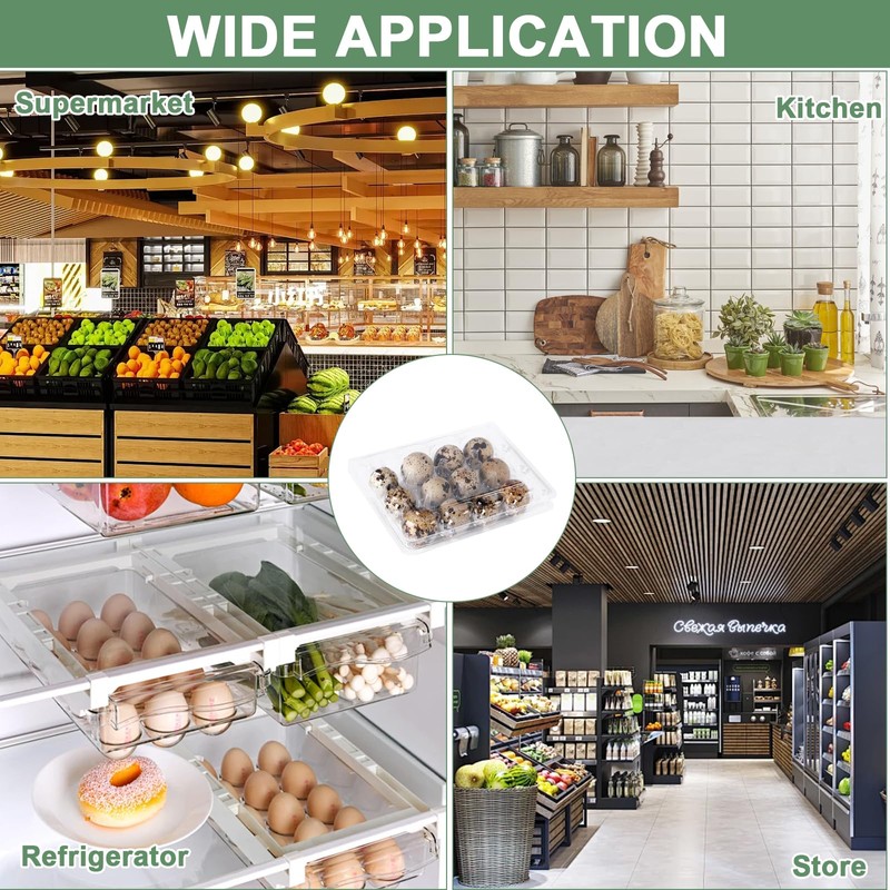 APACALI Pack of 60 Quail Egg Boxes, Quail Egg Boxes,