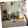 Abaodam 2 Sets Clear Plastic Orchid Pots of Breathable Planters