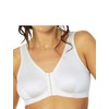 Eden House Ladies | Pack of 3 Bra Original Front