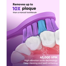 MySmile DY156 Electric Toothbrush for Adults, Rechargeable Sonic Battery Toothbrush Portable with 3 Brush Heads, 2 Mins 5 Modes Smart Timer, 45000VPM, One Charge for 60 Days - Purple