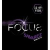 Savarez Focus Electric Guitar Strings Stainless Steel Set Blues .011-.049