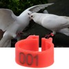 100 Pcs 8MM 001-100 Numbered Pigeon Leg Rings,Plastic Pigeon Legs