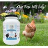 Fresh Eggs Daily Poultry Probiotics Feed Supplement – Natural Digestive