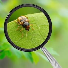 Meichoon Handheld Magnifier with Metal Handle 35x Magnification for Older Children Jewellers Crafts Hobbies Antique Jewelry Rating (50mm) Blue UC28