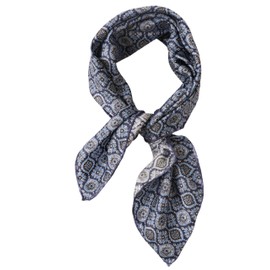 Prettystern Unisex Hand-Rolled Silk Neckerchief Silk Neckerchief for Men and Women, 46 blue paisley