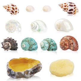 13PCS Natural Small Medium Hermit Crab Shells with Sea Sponge & Water Bowl