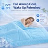Seyfote Summer Cooling Comforter King Size, Blue & Gray, 90