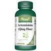 VORST Artemisinin 200mg Per Serving (100mg Per Capsule) 60 Vegan