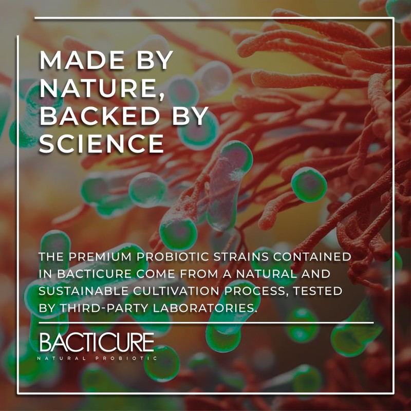 BACTICURE Original Probiótico Natural probiotic,Capsule,60 count