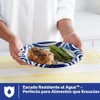 Dixie Ultra Platos de papel grandes, 10 pulgadas, platos desechables