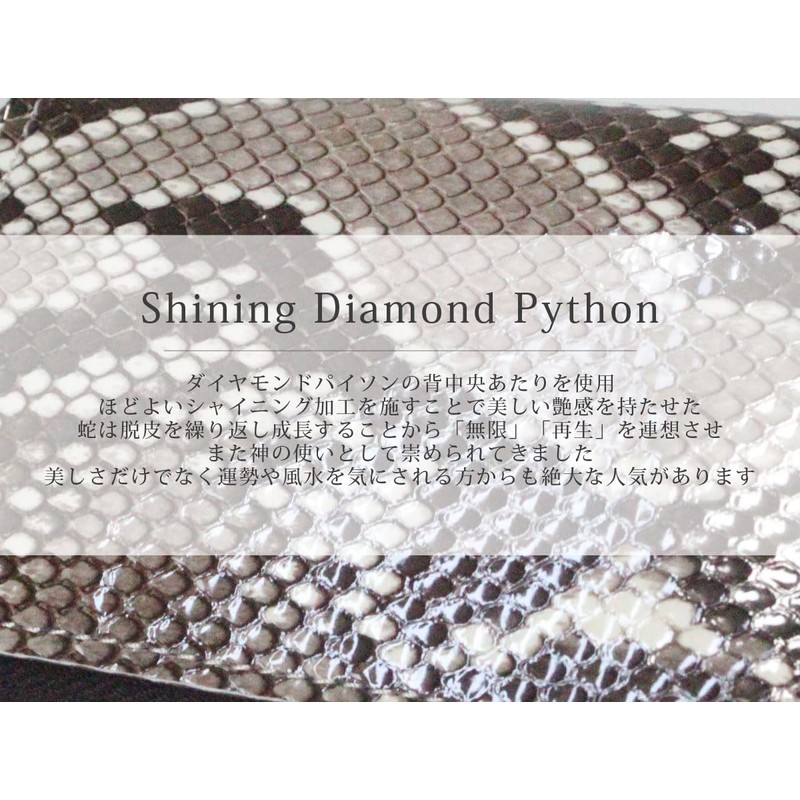 Berkut Diamond Python Coin Purse, Glossy YKK Zip, Feng Shui