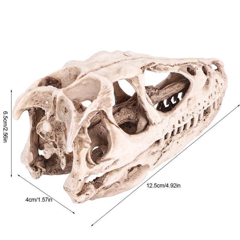Resin Dinosaur Skull Model Simulated Animal Skeleton Home Office Decor