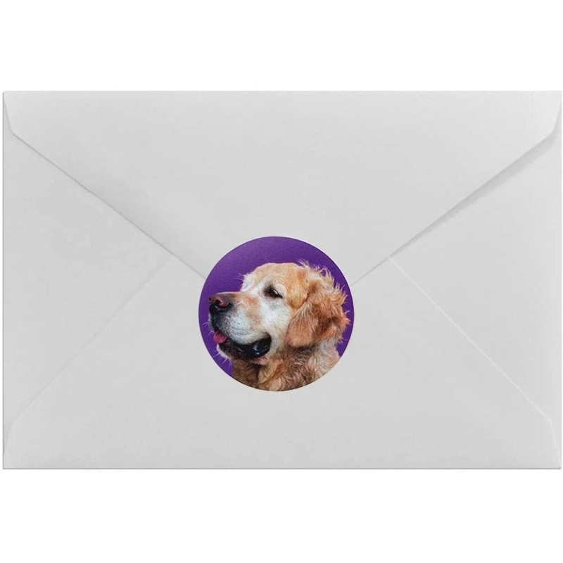 Unbranded Dog Stickers | 1.5" Round | 80 Pack |