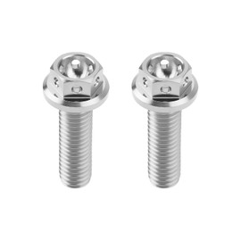 ECSiNG 2pcs M6x20mm Flanged Hexagon Head Bolts Titanium Hex Fully Threaded Bolt Drilled Bolts for Sports Bikes and Karts Lock Wire Silver