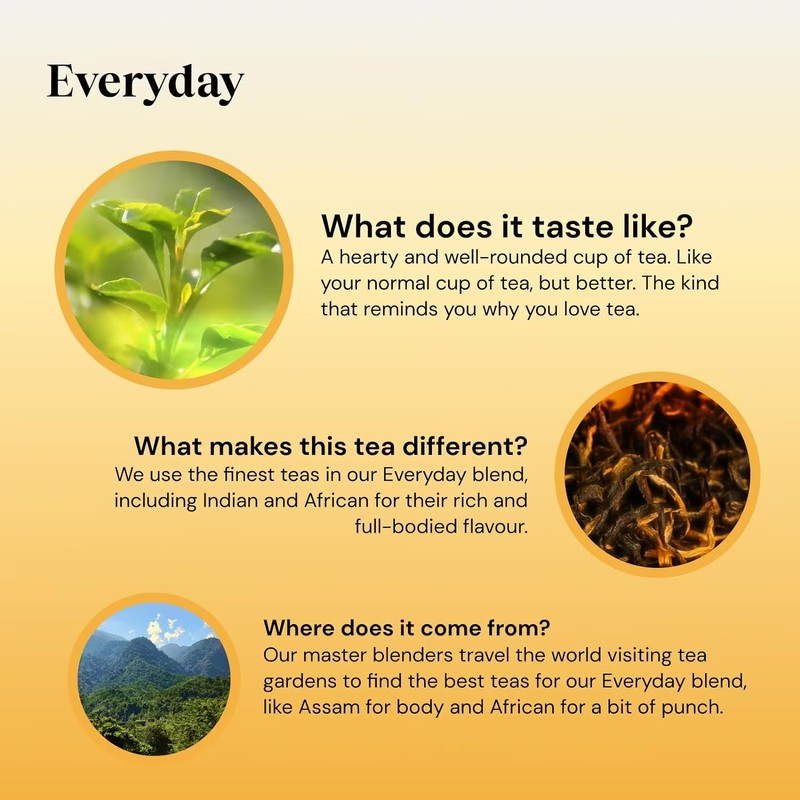 Twinings Everyday Tea Bags 100 Pack of 2 Boxes