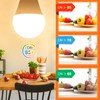 Sailstar A15 Ceiling Fan Light Bulbs, E12 Base, 6Watt (60-Watt