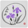 Daikoku Kogyo 3362315 "Commercial Use" Floral Paper Coasters Square Iris