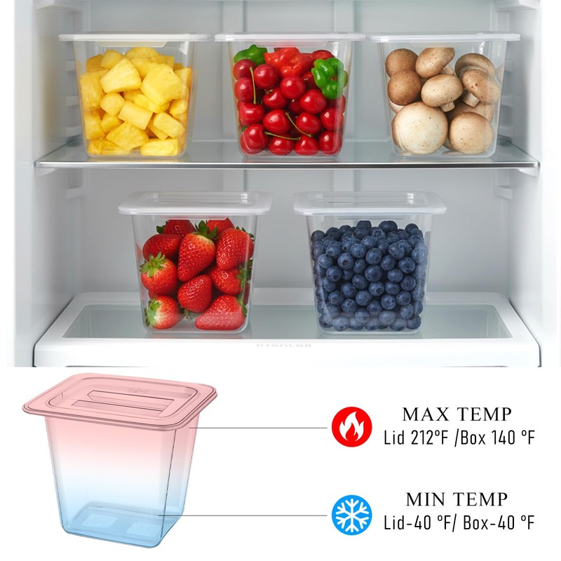 Xosjska Plastic Food Pan with Lids 1/6 Size Stackable Food