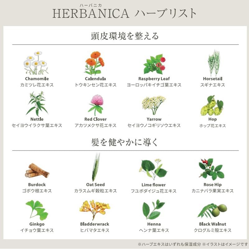 HERBANICA Herbanica Hair Care Conditioner 500 Glow Treatment