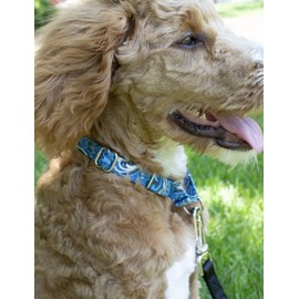 Country Brook Petz - Blue Paisley Martingale Dog Collar - Paisley Collection Featuring Classy Designs (5/8 Inch, Small)