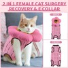 EMUST Cat Recovery Suit and Cat Cone Collar Set, Cute