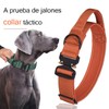 Collar Táctico para Perros - Seguridad y Comodidad en Tus