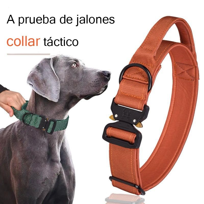 Collar Táctico para Perros - Seguridad y Comodidad en Tus