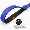Joytale Padded Handle Dog Lead,Double-Sided Reflective Nylon Dogs Leads for