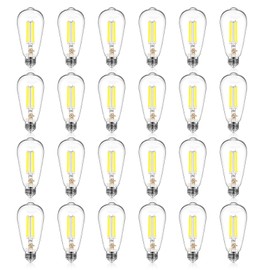 DAYBETTER 24 Pack Vintage LED Edison Bulbs, E26 Led Bulb 60W Equivalent, Dimmable Led Light Bulbs, High Brightness 600 LM Daylight White 5000K, ST58 Antique Filament Bulbs, Clear Glass Style for Home