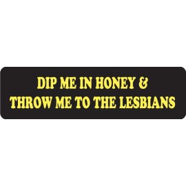 USA Biker Goods Dip Me In Honey And Throw Me To The Lesbians Motorcycle Helmet Sticker Z