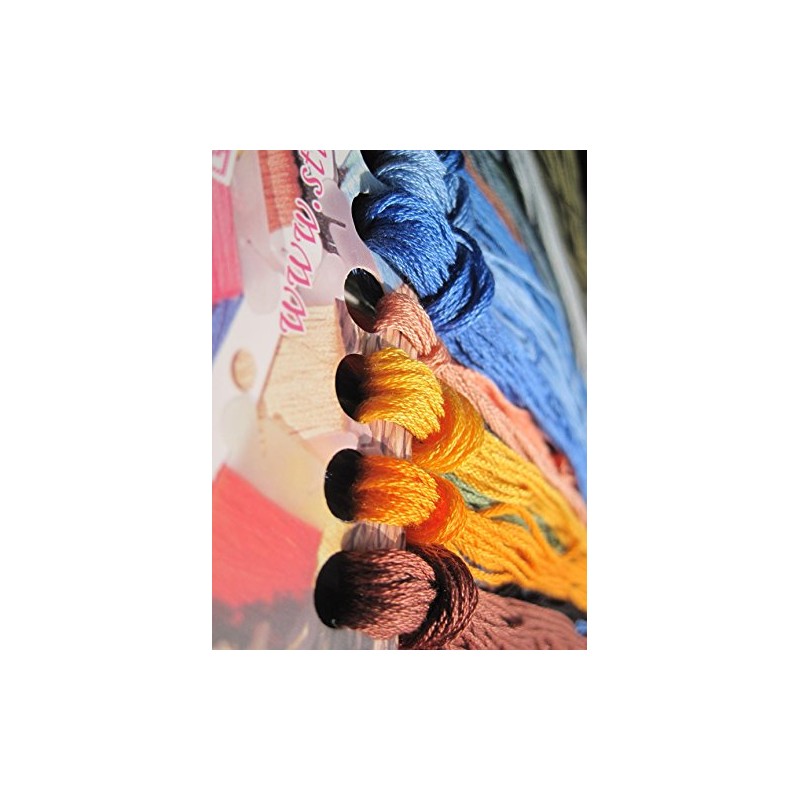 Frida in Wreath Counted Cross Stitch Kits,100% Cotton,150x150 Stitch,26x26 cm