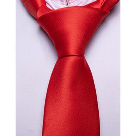 Barry.Wang Solid Color Pre-tied Ties for Men Zipper Necktie and Pocket Square Tie Clip Set Adjustable Red Tie Wedding