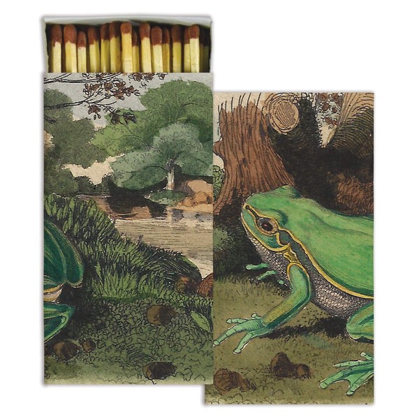 Decorative Frog Match Boxes with Wooden Matches | Set of 10 Large Match Boxes