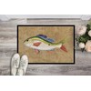 Caroline's Treasures 8816JMAT Rainbow Trout Doormat 24x36 Front Door Mat