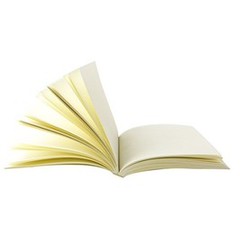 Red Co. 5 x 7 inch Journal/Notebook Refill Paper Book with 240 Plain Pages, Unruled