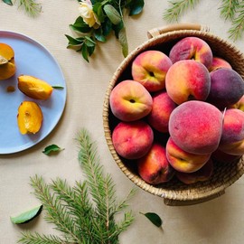 NorthWood Distributing Silver Spruce & Peach - Premium Fragrance Oil for Soap, Diffuser, Candle Fragrance Oil, Lotion, Body Scrub, Body Butter, Aromatherapy - 16 Fl Oz