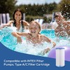 Replacement Filter Cartridge for INTEX Easy Set Pools - Pack