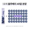 그레이스 블루베리 퓨레 100% 안토시아닌 스틱 홈쇼핑 14P, 280g, 1개
