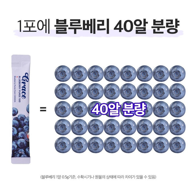 그레이스 블루베리 퓨레 100% 안토시아닌 스틱 홈쇼핑 14P, 280g, 1개