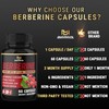 Berberine with Ceylon Cinnamon, Turmeric, Milk Thistle, Artichoke, Black Pepper