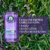 Herbal Essences Shampoo Antifrizz Lavanda & Aceite de Almendras 400