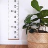 Smilerain Height Measuring Device, Children's Height Scale, Wall Hanging, Children's