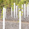 Pushglossy 5 Pack Tree Grow Tube Seedling Protectors Slit Tree