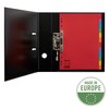 Esselte Leitz Register Karton A4 Multi-Colour 12 tabs multicoloured