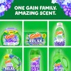 Gain Liquid Laundry Detergent, Relax, HE Compatible, 154 fl oz,