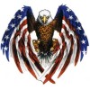 BIKERSTUFFUS EAGLE WITH AMERICAN FLAG STICKER HELMET STICKER BUMPER STICKER