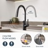 Aktines Pull Dwon Kitchen Faucet with Built-in Soap Dispenser &