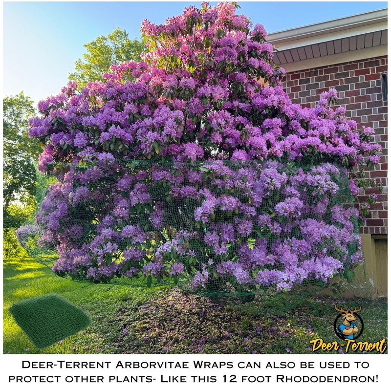 Deer-Terrent Deer Fencing – Heavy Duty Bird Netting, Chicken Coop,