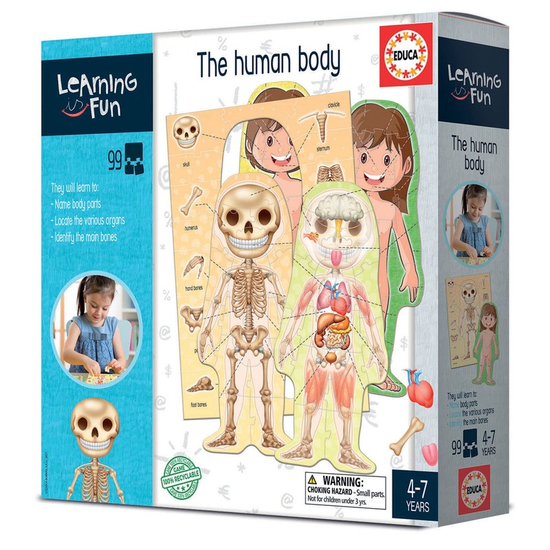 Educa 18842 Learning is Fun, The Human Body, Educational Game
